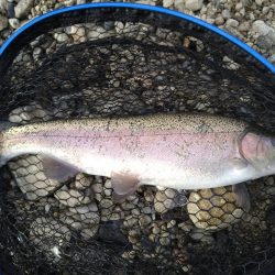 2ヶ月半ぶり釣行